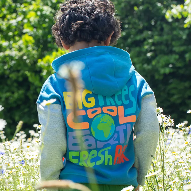 Frugi Switch Bowen Colour Block Hoodie - Deep Water / Earth