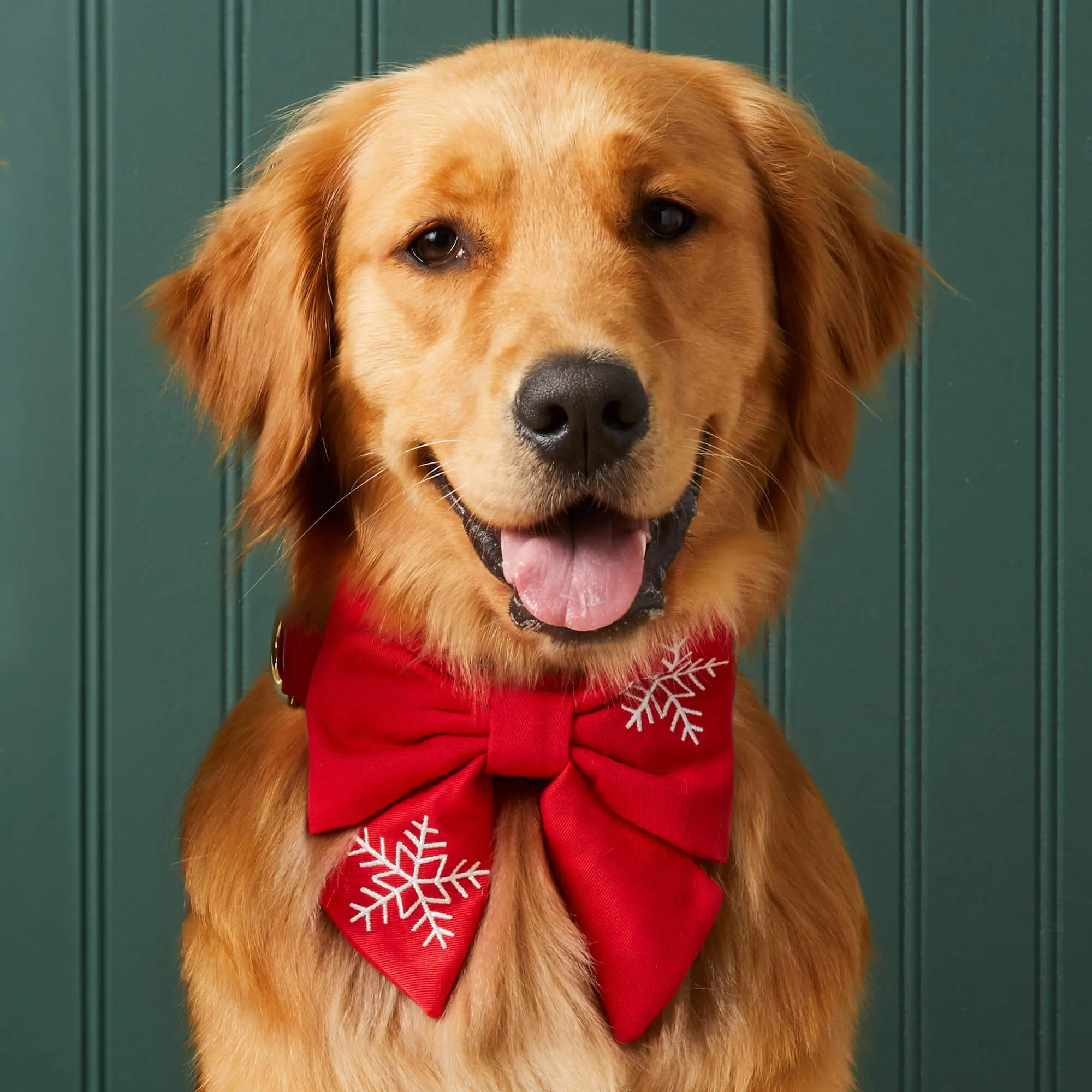 Snowflakes Embroidered Lady Dog Bow